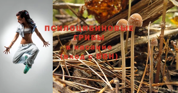 мяу мяу кристалл Краснослободск